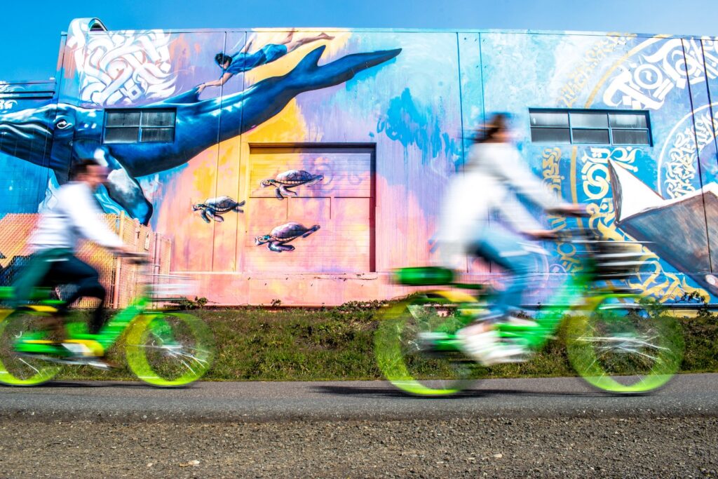 Two people riding green bicycles on Burke Gilman Trail in Seattle 
