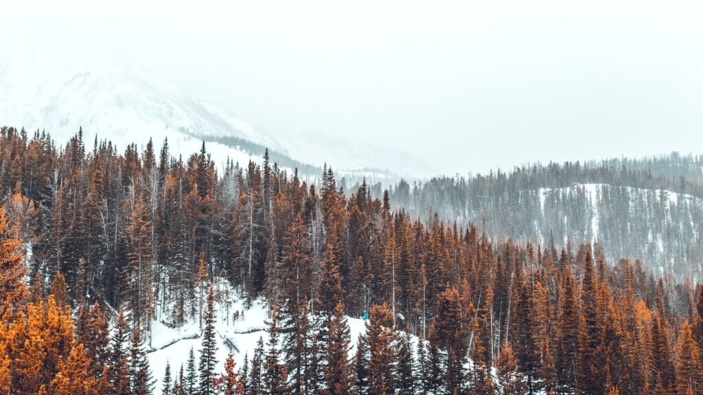 landscape photography of snowy mountain and trees at Big Sky ski resort in Montana