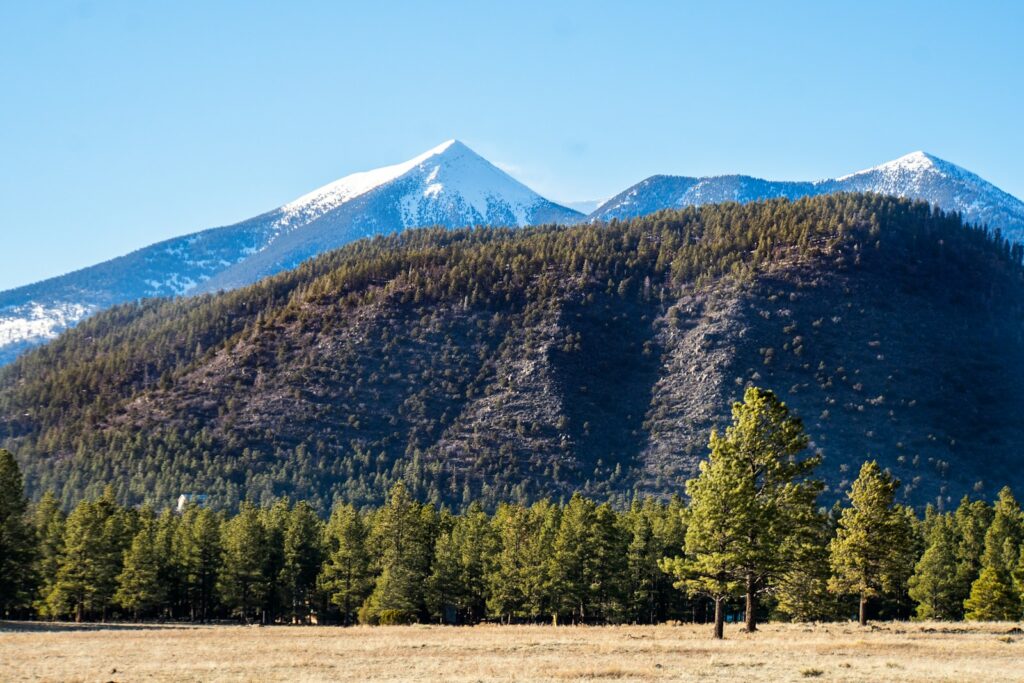 A field with a mountain in the background